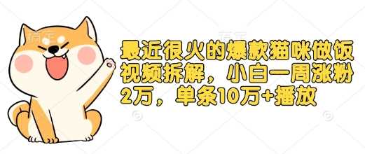 最近很火的爆款猫咪做饭视频拆解，小白一周涨粉2万，单条10万+播放(附保姆级教程)