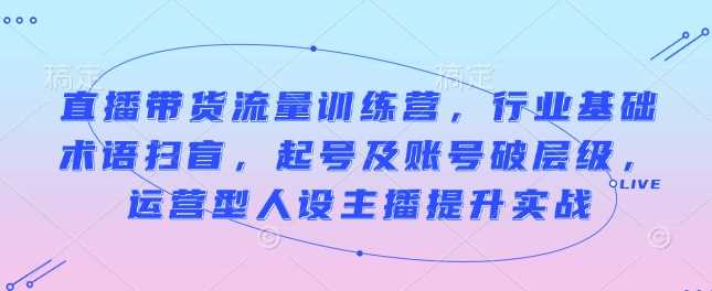 直播带货流量训练营，行业基础术语扫盲，起号及账号破层级，运营型人设主播提升实战